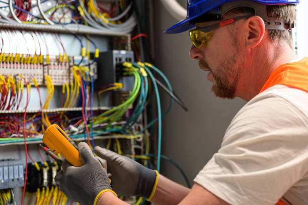Best Electric Panel Repair  in Castle Rock, CO